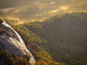 Polisi Bongkar Sindikat Penipuan Daring Lintas Provinsi